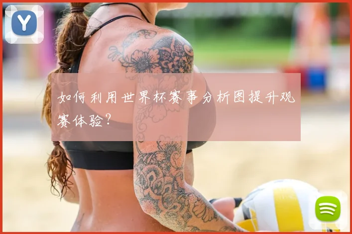 如何利用世界杯赛事分析图提升观赛体验？
