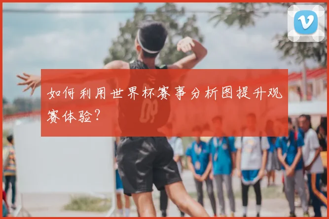 如何利用世界杯赛事分析图提升观赛体验？